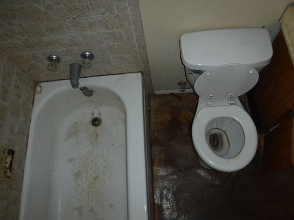 5th image of 55 Acorn Dr