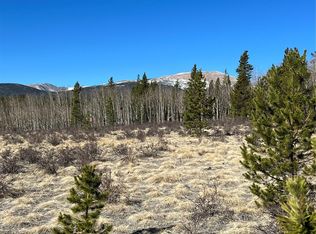 247 Thickspike Rd, Fairplay, CO 80440