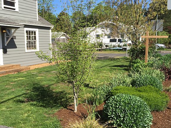 Front Landscaped Yard