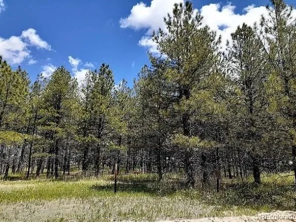343 Sparrow Lane, Elizabeth, CO 80107