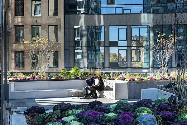 Rented by Gotham Organization | media 18