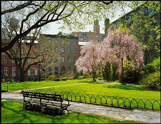 Rented by Brown Harris Stevens | media 14