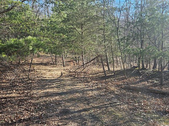 3rd image of 0 Tiger Valley Rd