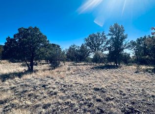 9 Vesuvius Way, Silver City, NM 88061