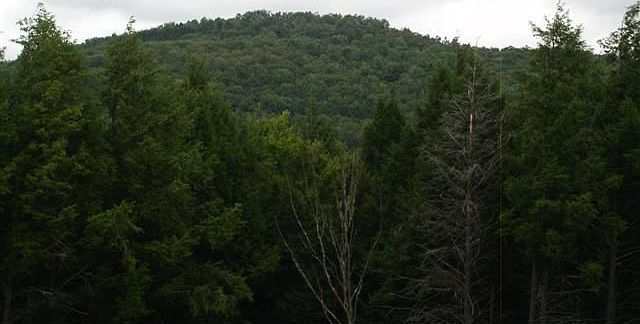 Private Oasis Close to Town