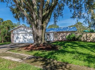 14611 Knoll Ridge Dr, Tampa, FL 33625