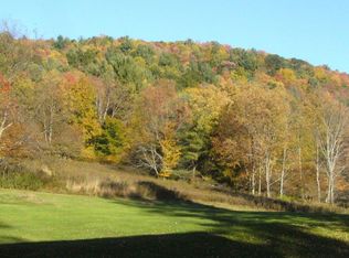 0 Silver Lake Rd, Hancock, NY 13783