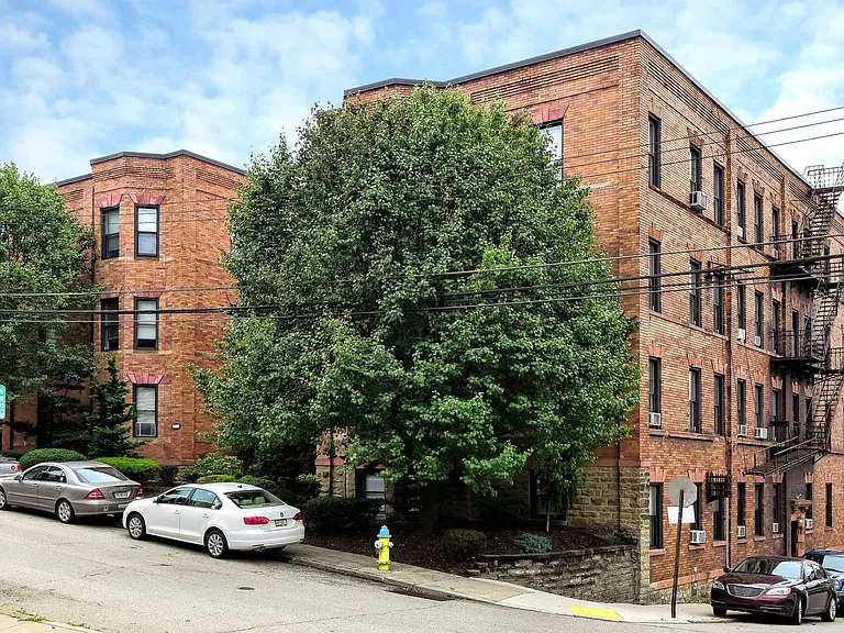 Sycamore — Photo 8