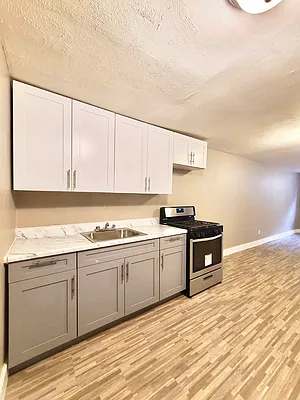 Rented by Delmark Realty LLC | media 55