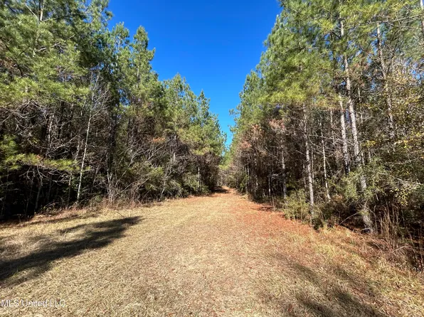 Dwain Rd, Magnolia, MS 39652