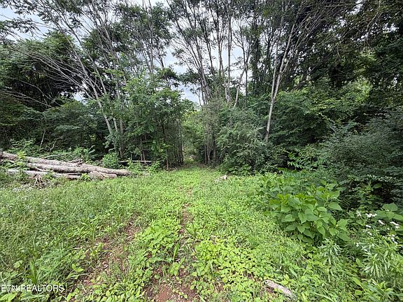 3rd image of 143 Moser Ln