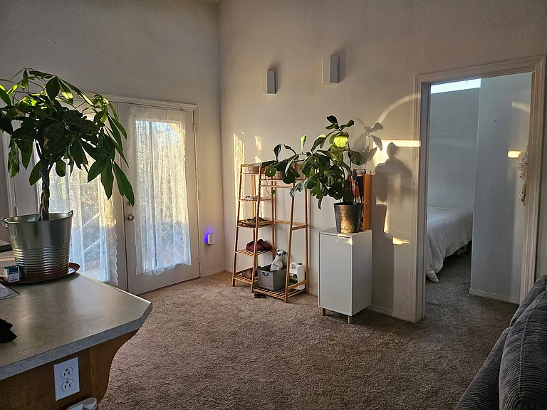 3237 S Bonita St — Photo 8