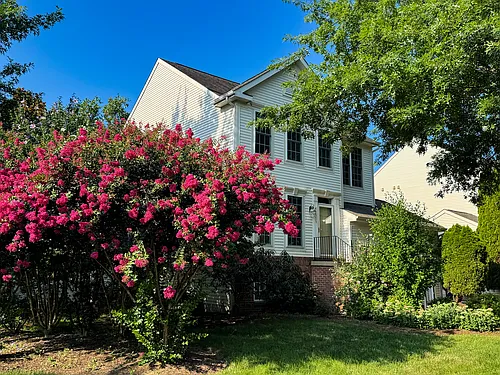 43555 Hyland Hills St Photo 1