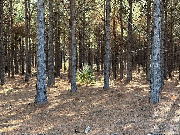 2nd image of County Road 3774
