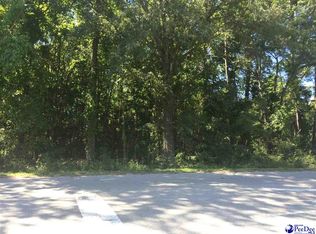 W McIver Rd, --, SC 29532
