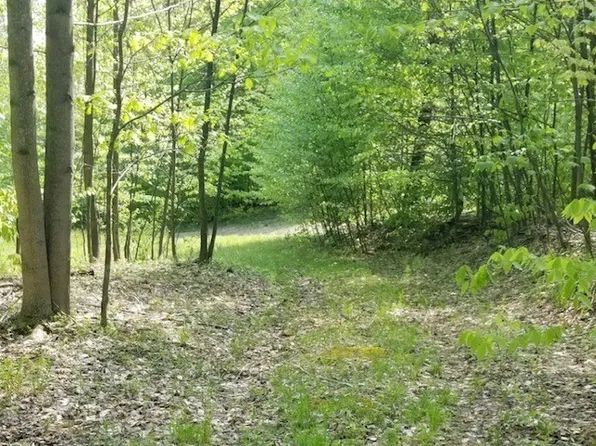 Vl Forest Gln #18, Hinsdale, NY 14743