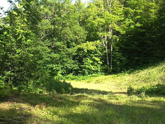 3rd image of LOT 83 Eleven Ashwabay Rd