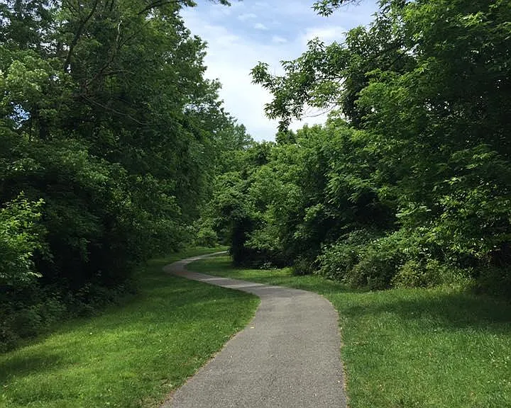 Saddle Dr — Photo 10