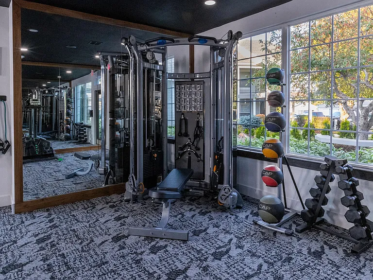 Unleash your strength with our state-of-the-art weight equipment.