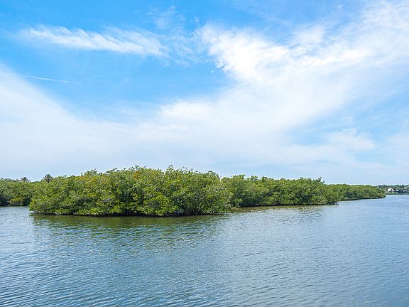 5th image of 251 Sandpiper Point