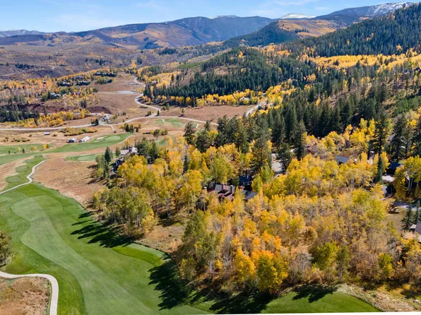 320 Elk Spring Trl, Edwards, CO 81632