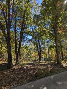 000 Mc Cord Bend Rd, Galena, MO, 65656