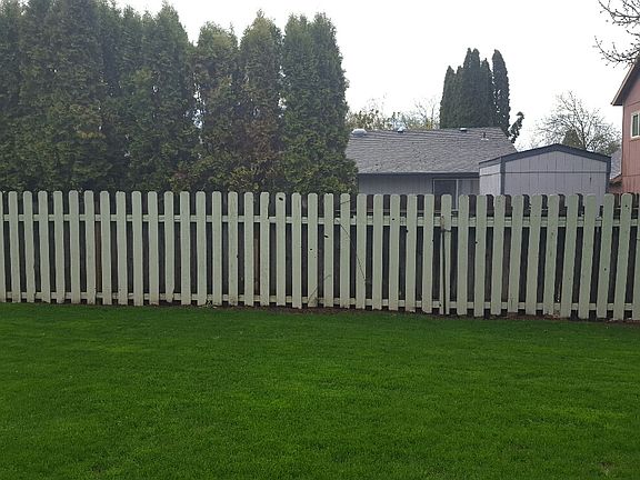 Back- View of back yard