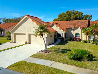 1162 Rustlewood Ct, Palm Harbor, FL, 34684