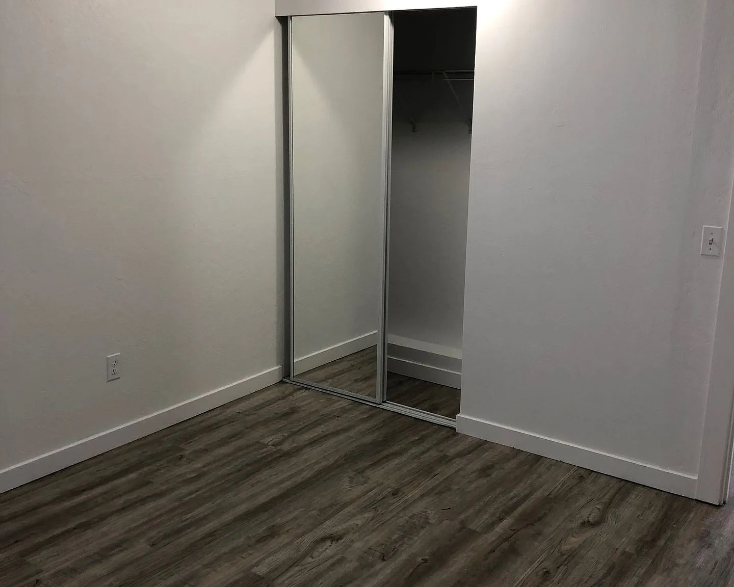 Thorne 5 — Photo 1