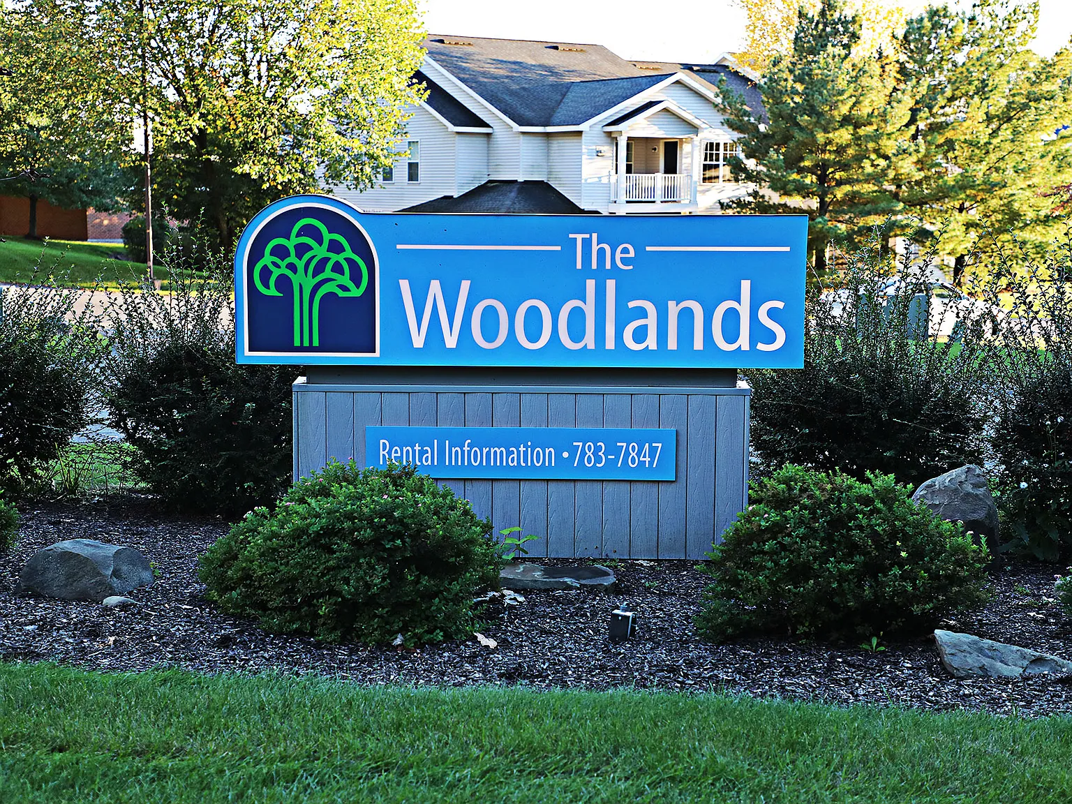 The Woodlands — Photo 1