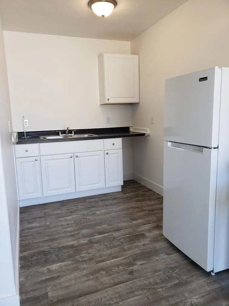1 bed, 375 sqft, $895 — Photo 4