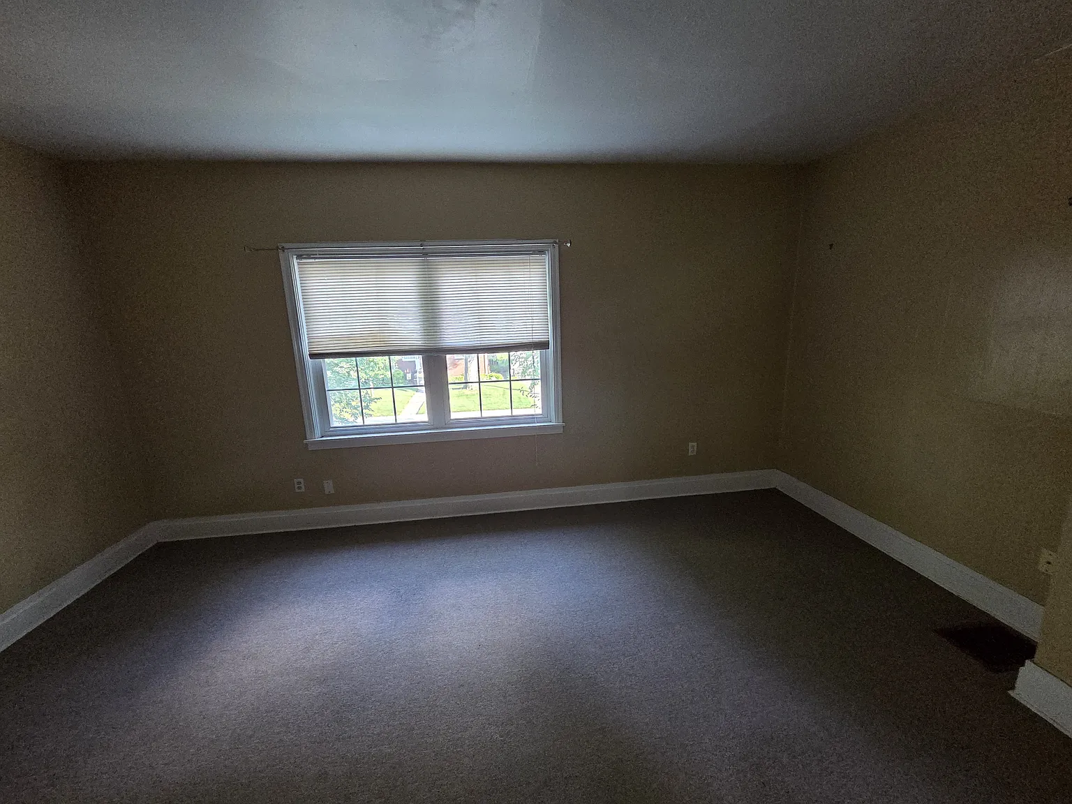 1 bed, 800 sqft, $800 — Photo 2