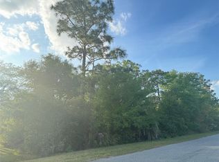 Coronet Avenue Lot #1, Orlando, FL 32833