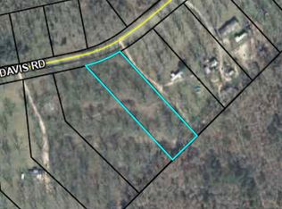 4319 Davis Rd, Dry Branch, GA 31020