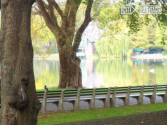 Rented by Citi Habitats | media 27