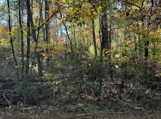 11 Mill Creek Acres, Blue Ridge, GA 30513