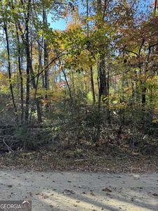 11 Mill Creek Acres, Blue Ridge, GA, 30513