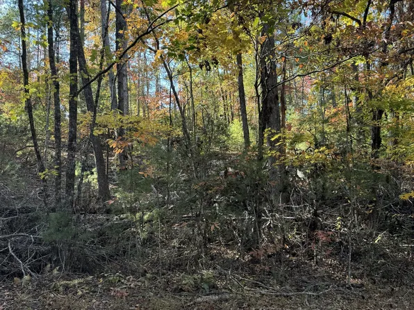 11 Mill Creek Acres, Blue Ridge, GA 30513