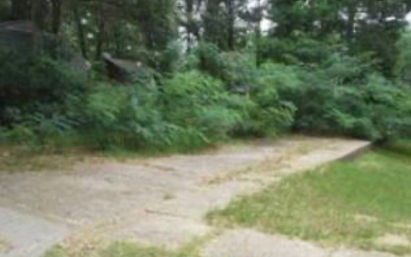 2nd image of 737 John Ave