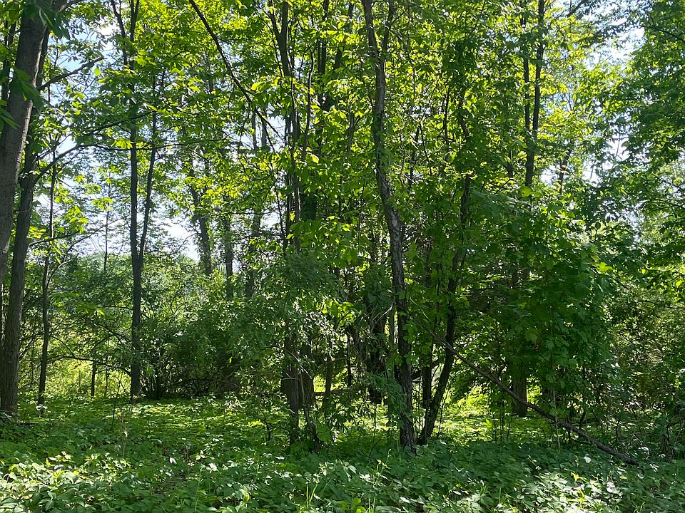 Vl E Dexter Tral Trl, Dansville, MI 48819 MLS 23021112 Zillow