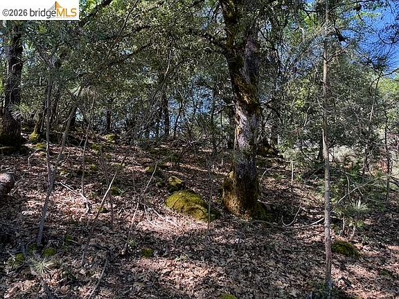 3rd image of 21344 Green Meadow Ln