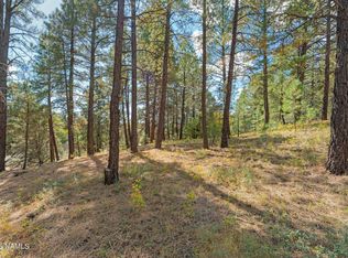 3407 S Litzler Dr, Flagstaff, AZ 86005