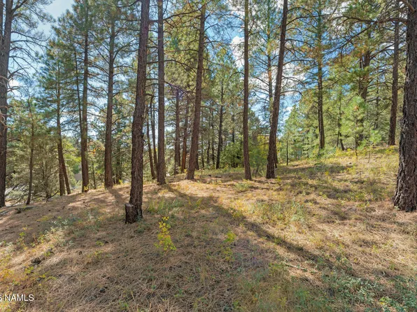 3407 S Litzler Dr, Flagstaff, AZ 86005