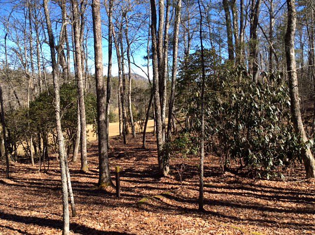 2nd image of 1352 Burl Ln