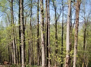 315 Walnut Rdg #2, Ellijay, GA 30536