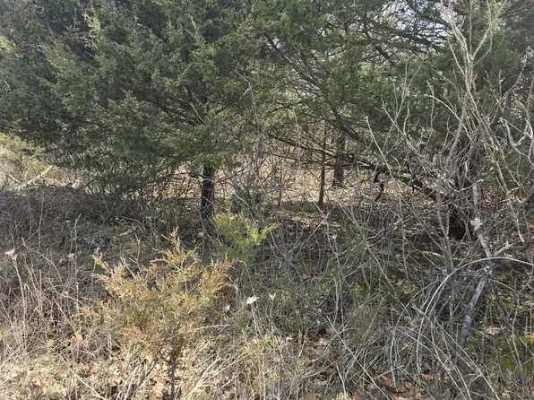 000 Farm Road 2085, Aurora, MO 65605