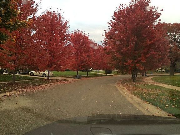 View down Greenway Ln