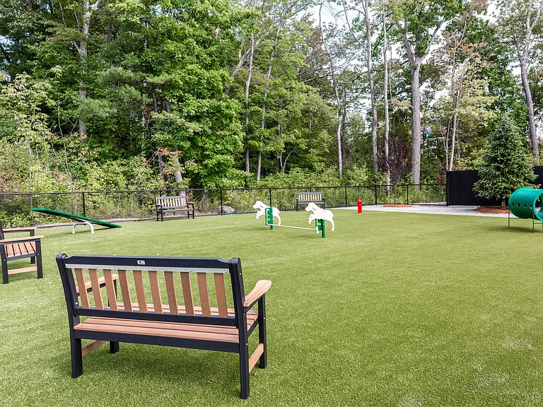 Balsam Place — Photo 6