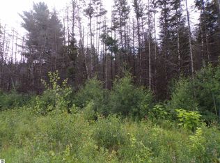 0 W Sanborn Rd, Lake City, MI 49651