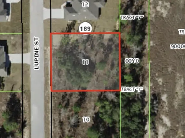 22 Lupine St, Homosassa, FL 34446